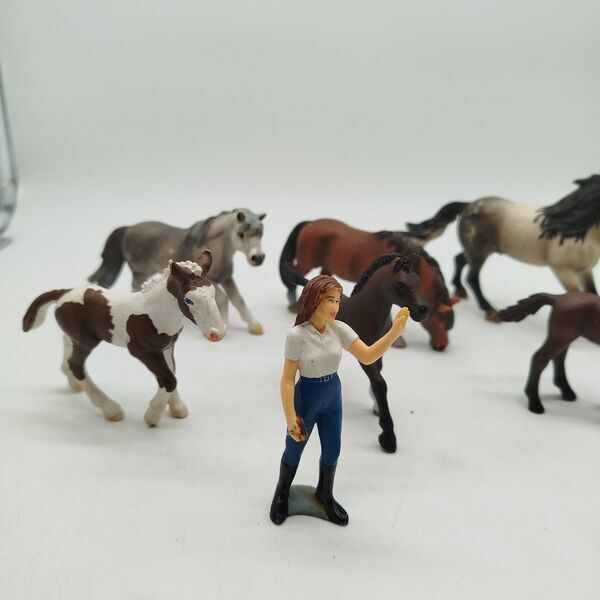 Schleich Bundle horses set von 8 figures & Reiterin | multicolored, image 1 of 3