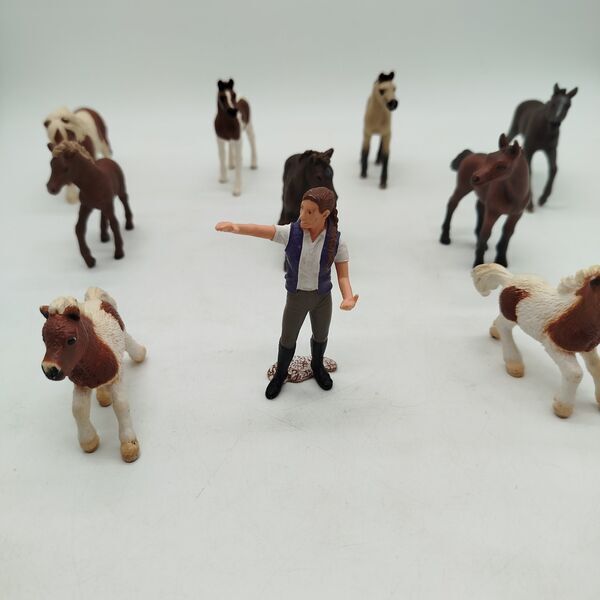 Schleich Bundle Horse farm foal, human & box | multicolored, image 3 of 5