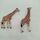 Schleich Bundle Safari set von 5 Giraffen & Zebrase | multicolored, thumbnail 1 of 2