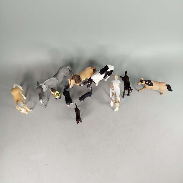 Schleich Bundle Set von 12 Pferde, Hunde, Katze & Reiter Figurene | mehrfarbig, image 1 of 2