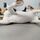 Schleich Bundle Set von 12 Pferde, Hunde, Katze & Reiter Figurene | mehrfarbig, thumbnail 2 of 2