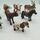 Schleich Bundle Set von 8 Tierfiguren 13644 14753 13798 | mehrfarbig, thumbnail 2 of 3