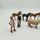 Schleich Bundle animals & people set von 8 figures | multicolored, thumbnail 1 of 3