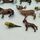 Schleich Bundle Tierfiguren Set von 9 Pferde, Reh, Hunde & Vogele | multicolored, thumbnail 1 of 3