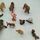 Schleich Bundle Wildnis set von 13 Tierfiguren | multicolored, thumbnail 2 of 3
