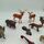 Schleich Bundle wild animals & Reptilien set von 11 Tierfiguren | multicolored, thumbnail 1 of 3