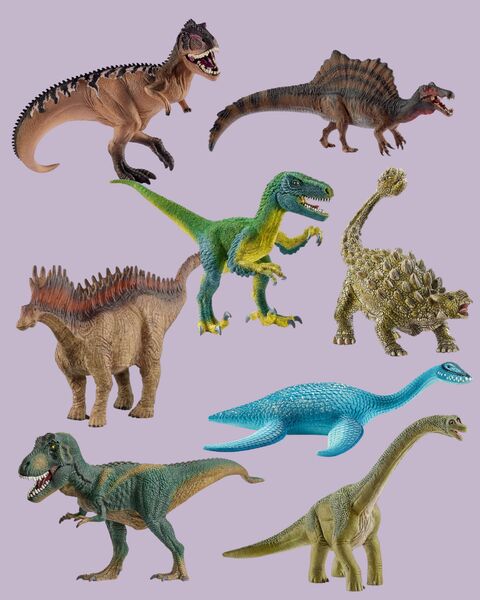 Schleich Dino Set 8er | mehrfarbig 1