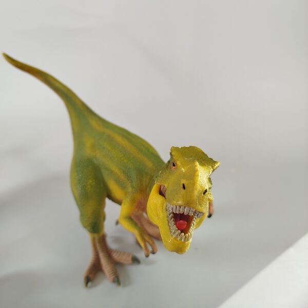 Schleich Dinosaurier & Tierfiguren | 5er Set | multicolored 2