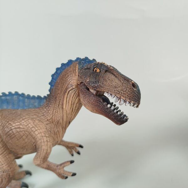 Schleich Dinosaurier & Tierfiguren | 5er Set | multicolored 5