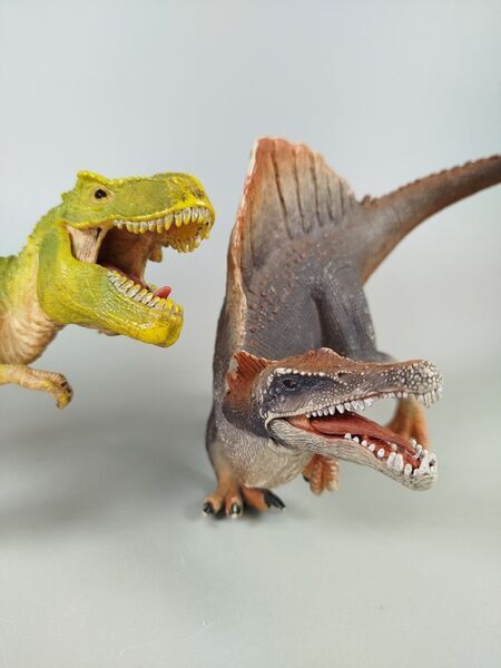 Schleich Dinosaurier Set - T Rex und Spinosaurus | mehrfarbig 3