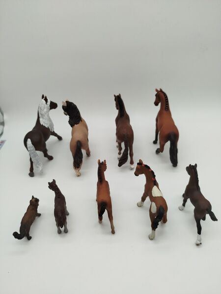 Schleich Figuren Set von 9 – Pferde & Katze | mehrfarbig 3