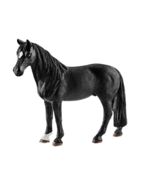 Schleich Pferde 2er Set | multicolored 1