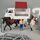Schleich Pferdepflege Spielset - Tierarztwagen, Stall, Waschplatz | multicolored thumbnail 4/5