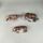 Schleich Tiere Bundle 3x Elefant Nilpferd Nashorn Tierfigurene | multicolored, thumbnail 1 of 3