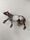 Schleich Tiere Bundle 5 Teile Pferde Figurene | mehrfarbig, thumbnail 2 of 5