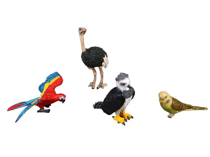 Schleich Tiere Bundle Bauernhof & Vögel 12 Teile Tierfigurene | mehrfarbig, image 3 of 5