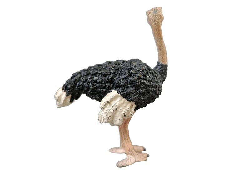 Schleich Tiere Bundle Bauernhof & Vögel 12 Teile Tierfigurene | mehrfarbig, image 4 of 5