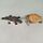 Schleich Tiere Bundle Meerestiere & Schnabeltier Set von 8 Tierfigurene | mehrfarbig, thumbnail 4 of 4