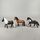 Schleich Tiere Bundle Pferde 6 Teile Tierfigurene | mehrfarbig, thumbnail 3 of 3