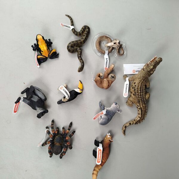 Schleich Tiere Bundle Set von 10 Tierfiguren Faultier, Tukan, Panda & Reptiliene | mehrfarbig, image 1 of 4