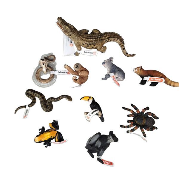 Schleich Tiere Bundle Set von 10 Tierfiguren Faultier, Tukan, Panda & Reptiliene | mehrfarbig, image 4 of 4
