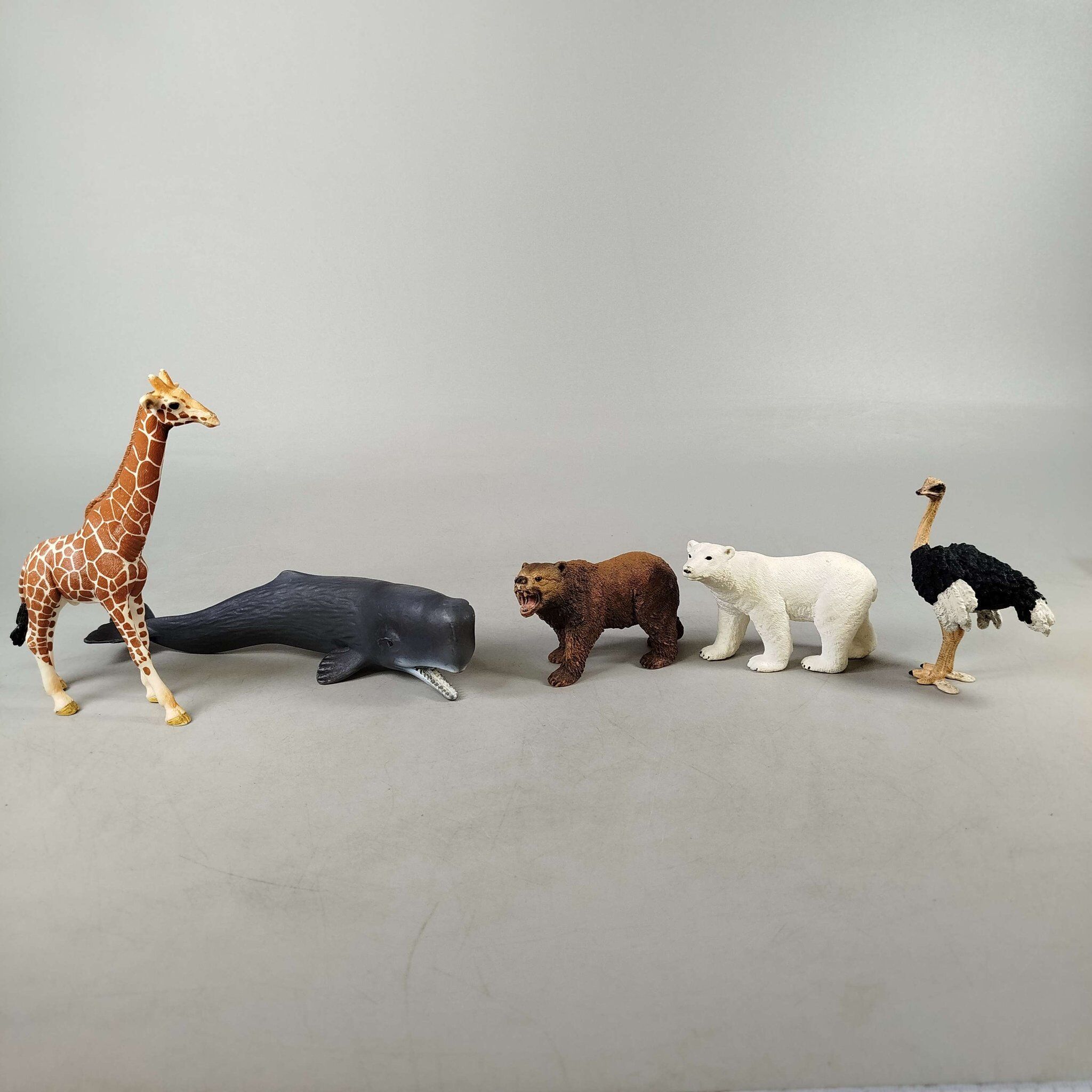 Schleich Tiere Bundle Wildtiere 5 Teile Tierfigurene