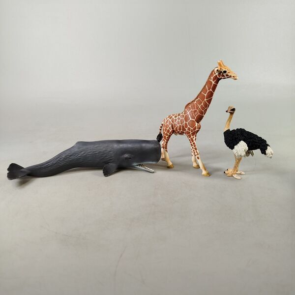 Schleich Animals Bundle Wild Animals 5 Pieces Animal Figures | multicoloured, image 3 of 3