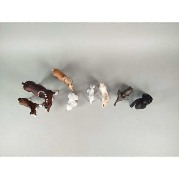 Schleich Tiere Set 10er | večbarven 2