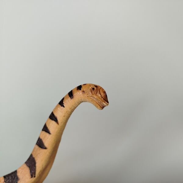 Schleich Tiere Set von 8 Figuren - Pferde, Dinosaurier, Krokodil | mehrfarbig 4