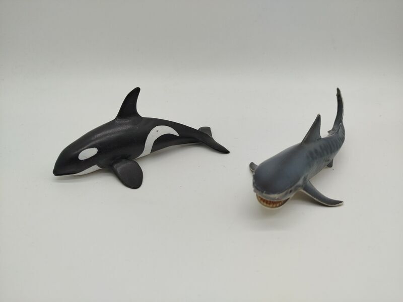 Schleich Tierfiguren - Land- and Meerestiere | 8er Set | multicolored 4