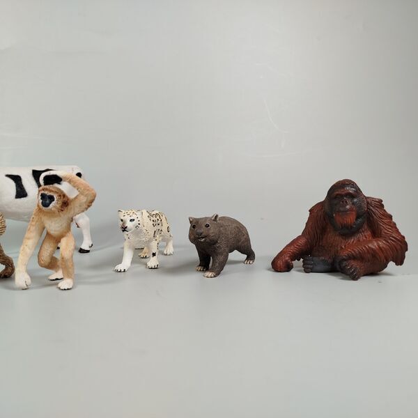 Schleich Tierfiguren-Set | 9 Stück | mehrfarbig 3