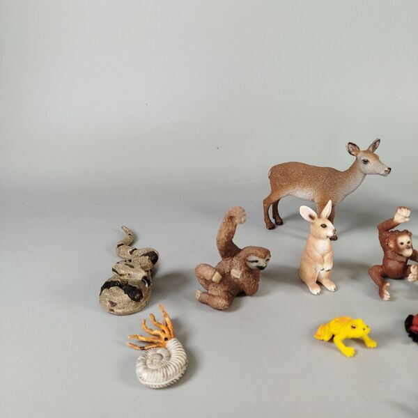 Schleich Tierfiguren Set von 17 - Zoo & Waldtiere | mehrfarbig 2