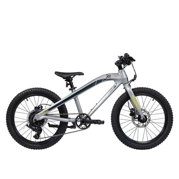 S'COOL Xroc Twenty | 20" | 8-Gang MicroShift | grau 1