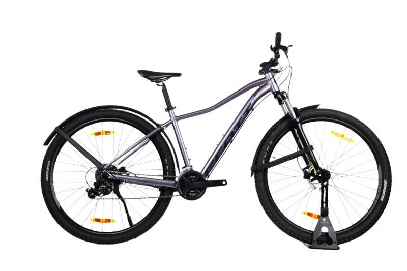 Scott Contessa Active (2023) | Diamant | grau | 29" | M 1
