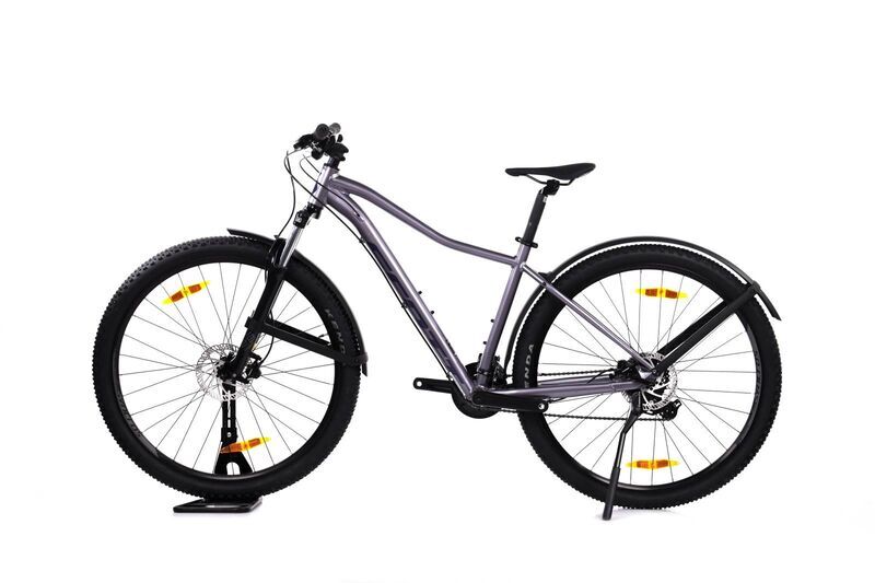 Scott Contessa Active (2023) | Diamant | grau | 29" | M 3