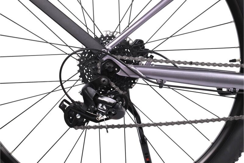 Scott Contessa Active (2023) | Diamant | grau | 29" | M 4