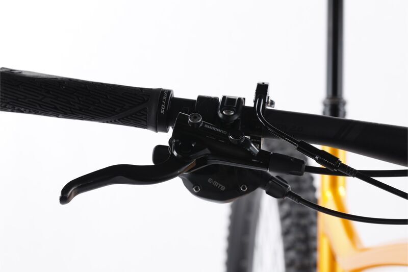 Scott Genius eRide 930 (2021) | Diamant | gelb | 54 cm | 2000 - 3000 km 4