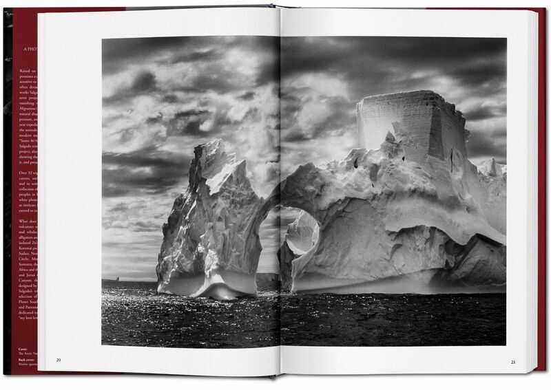 Sebastião Salgado. Genesis | Weiß, image 2 of 4