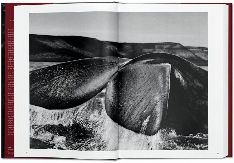 Sebastião Salgado. Genesis | Weiß, image 3 of 4