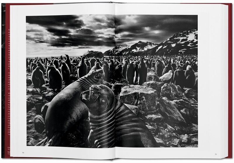 Sebastião Salgado. Genesis | Weiß, image 4 of 4