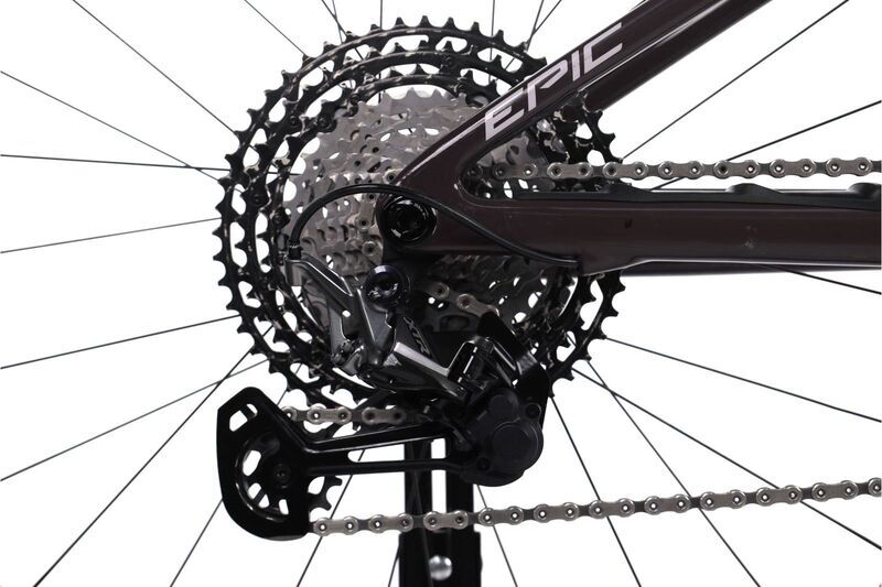 Specialized Epic Evo Pro (2021) | Diamond | brown | 29" | L 5