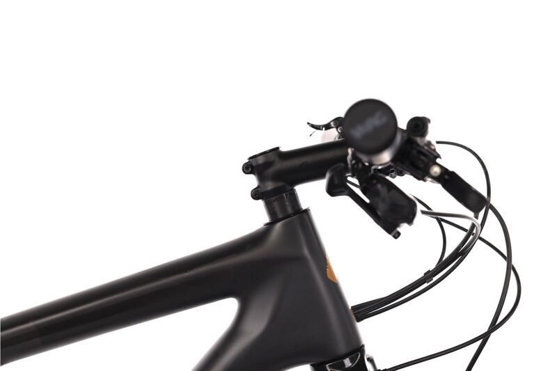 Specialized Epic Evo (2023) | Diamant | schwarz | 29" | XL 4