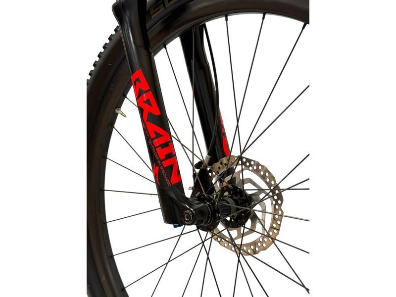 Specialized Epic HT Expert (2020) | Diamant | rot | 29" | L 4
