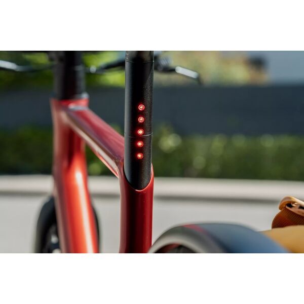 URWAHN Stadtfuchs E-Bike | red | 28" | M | > 500 km 4