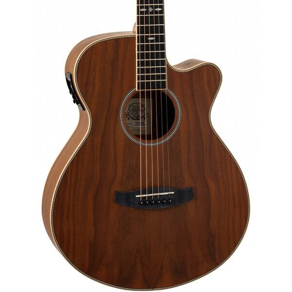 Tanglewood Reunion Pro TRU4CEAW Electro-Acoustic Guitar | Original, image 1 of 4