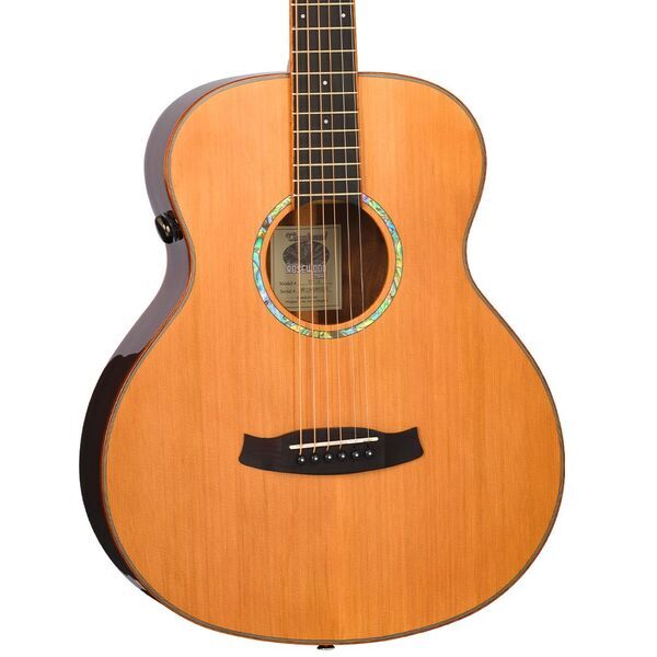 Tanglewood TRS1E Mini Rosewood Smart Acoustic Guitar | Original, image 1 of 5