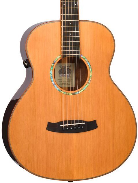Tanglewood TRS1E Mini Rosewood Smart Akustisk Gitarr