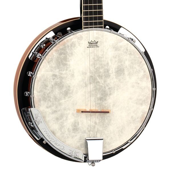 Tanglewood TUB5 5-String Banjo | Original, image 1 of 4