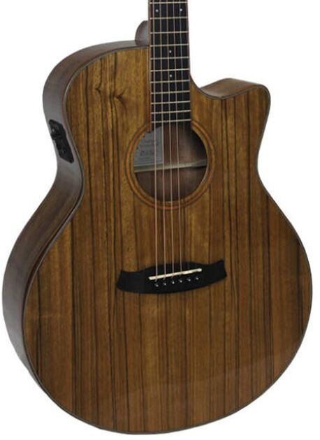 Tanglewood TW4E VC Elektroakustisk gitarr