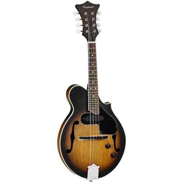 Tanglewood TWMFVSE Electro Acoustic F Style Mandolin | Original, image 1 of 2